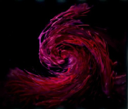 3 nudies close by. Inspird me for this swirl by Karelas George 